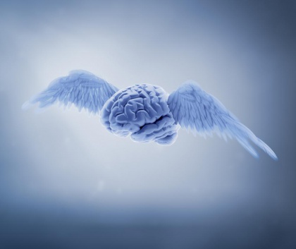 Brain with Wings