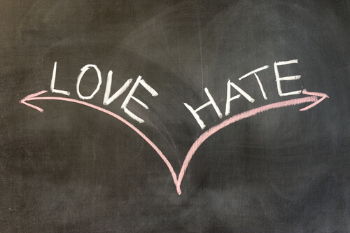 Viha ja rakkaus
