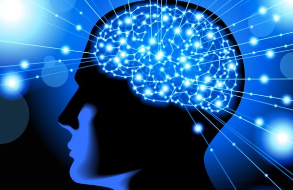 This Video Will Change How You Understand Your Brain