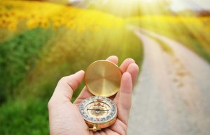 Everything Will Fall into Place