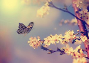 Risk and Opportunity: The Time to Take Flight