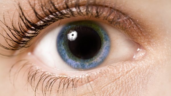 What Our Pupils Reveal