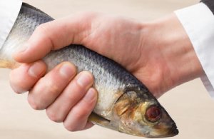 How to Spot a Friend Who’s Not What They Seem