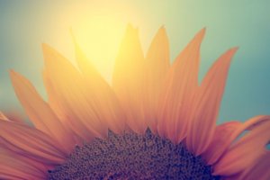 Can We Change Direction and Start from Scratch?