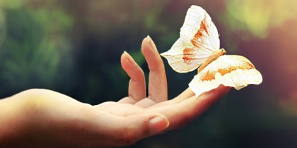 Vlinder op een hand