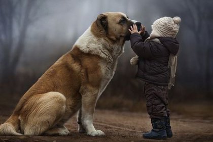 connection-1-420x280