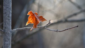 Depression and Suffering in Silence