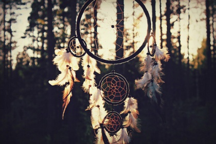 dreamcatcher in the woods