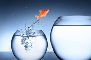 Obstacles are Opportunities for Growth