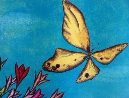 Butterfly