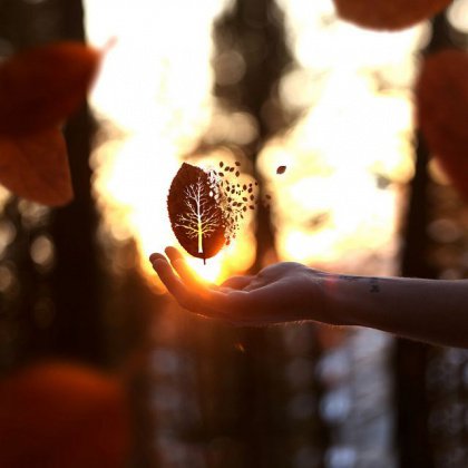 insecurity-interior-420x420