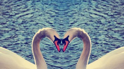 love-2-420x235