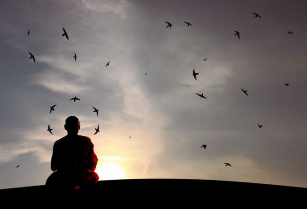 A person meditating among birds.