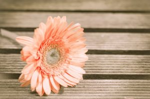 Strategies to Find Peace and Tranquility