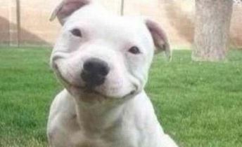smiling-3