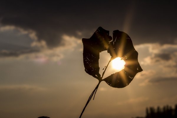 Impossible Love: 3 Wounds that Never Heal