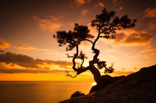 sunset-3