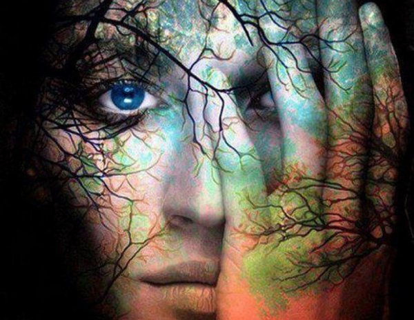 tree face