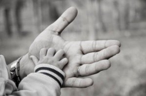 Fatherhood and the Brain