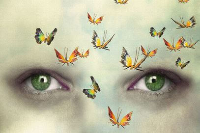 butterfly face