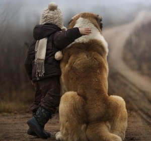 We Aren't Defined by Achievements, Rather Challenges