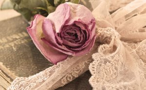 In a Corner of the Soul, There Are Secret Memories