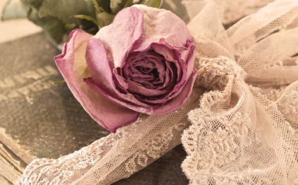 In a Corner of the Soul, There Are Secret Memories