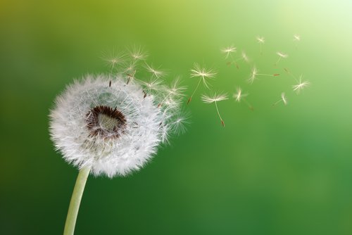 Embracing Acceptance and Change