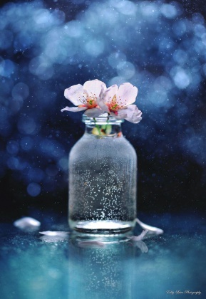flowersinajar