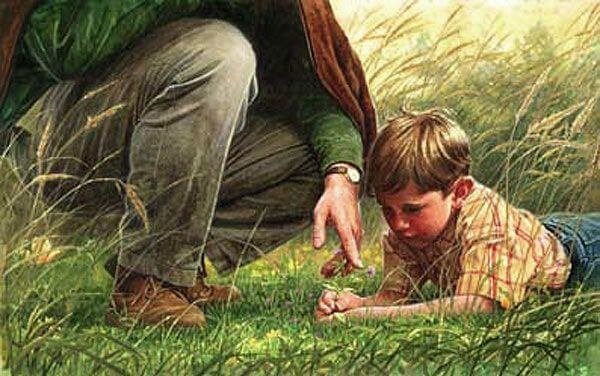 grandfather-son-looking-flower