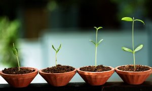 8 Signs of Emotional Growth