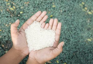 4 Types of Poverty that Teach Us the Meaning of Happiness