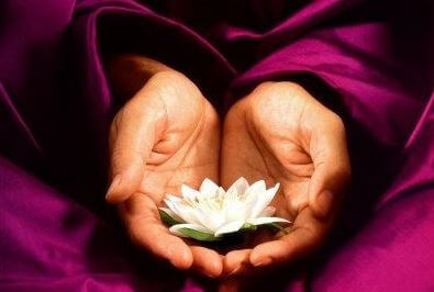 Lotus flower