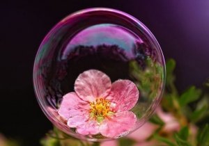 Dangers of the Overprotective "Safety Bubble"