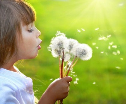 child blowing on dandelions