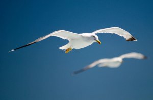 It's Not You, It's Me...