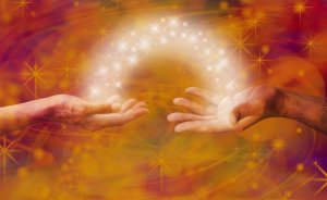 The Tree of Life and Friends