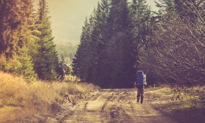 walking on a path