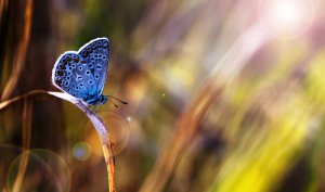 How To Overcome Resistance on the Path to Progress