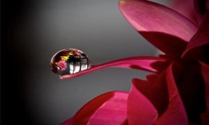 9 Things We Should Remember About Life