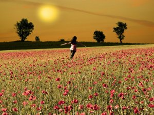 The 6 Keys to Happiness