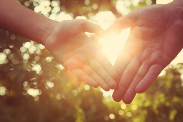 hands heart