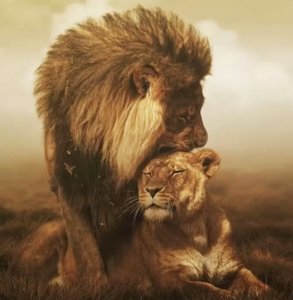 The Need for Recognition, Cornerstone of Self-Esteem