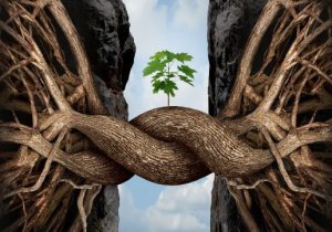 The Seven Logs: Common Challenges We All Face in Life