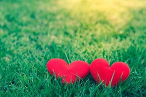 Is Admiration Always a Requisite for Love?