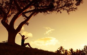 Maturity Is When You Don't Need to Blame Others for Your Problems