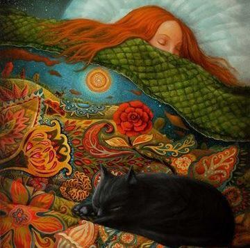 sleeping cat