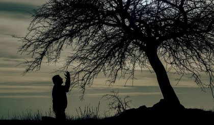 Man in Despair under Tree