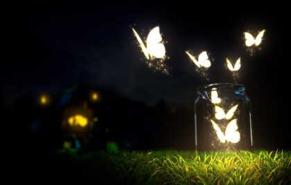 Butterflies Flying out of Jar