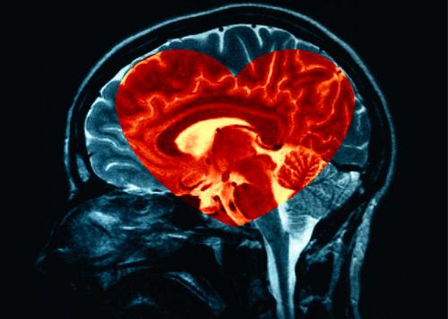 brain image with heart inside intuition